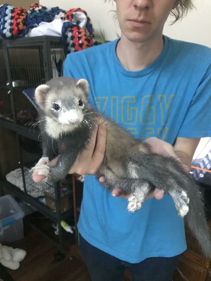 Heard Sneezing, Husband Forgot To Close His Flour Bread Bin