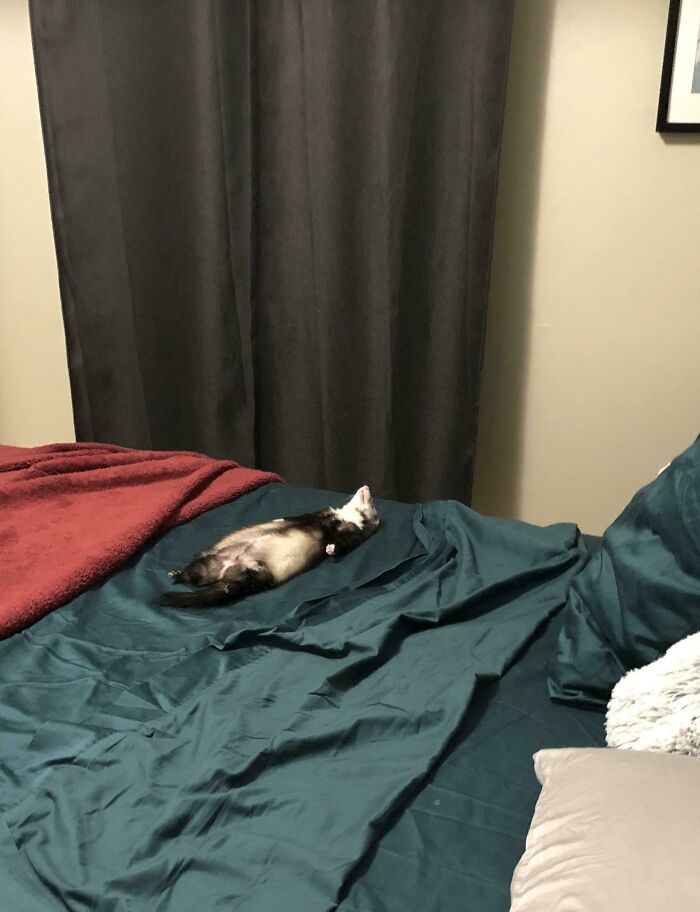 She Dooked Herself Out