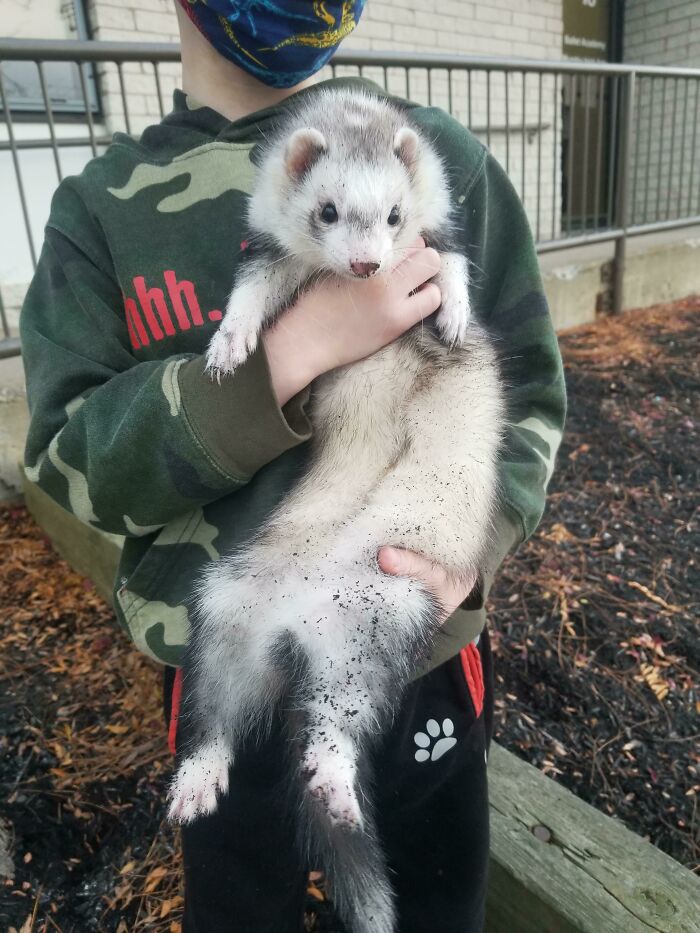 Someone Is Proud They Dug A 6-8 Inch Deep Hole! Good Job Mider