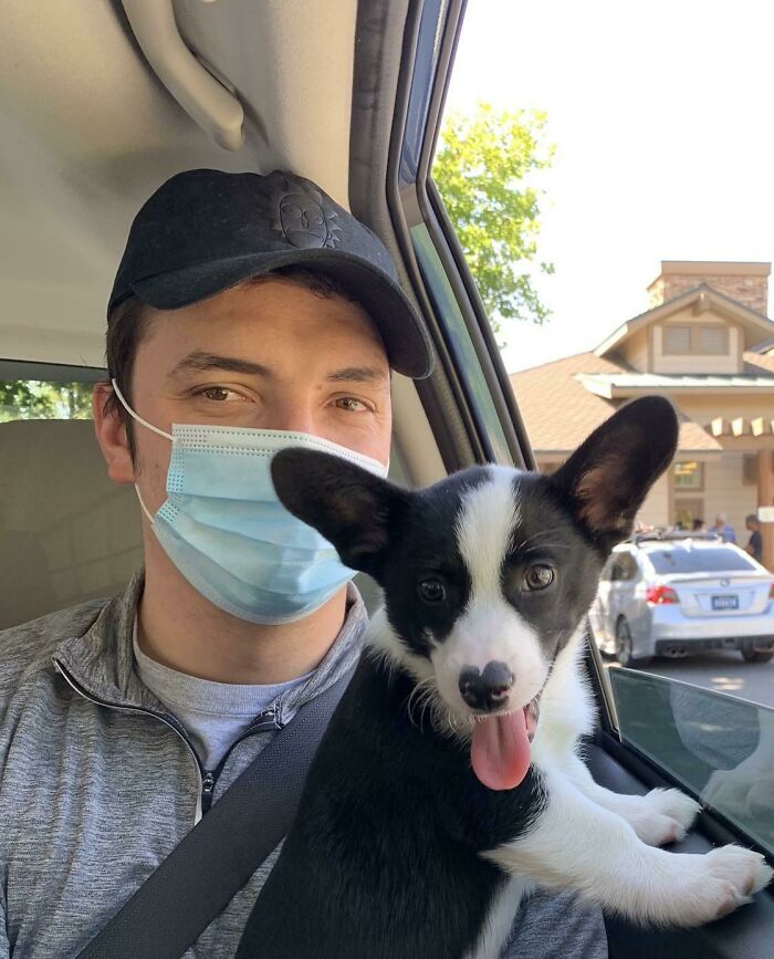 Rescued This Corgi Puppy From The Shelter A Few Weeks Ago. My First Fathers Day As A Father!