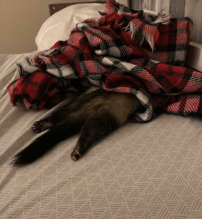 There’s ‘Comfy’ And Then There’s ‘I’m In Bed With Mama’ Comfy