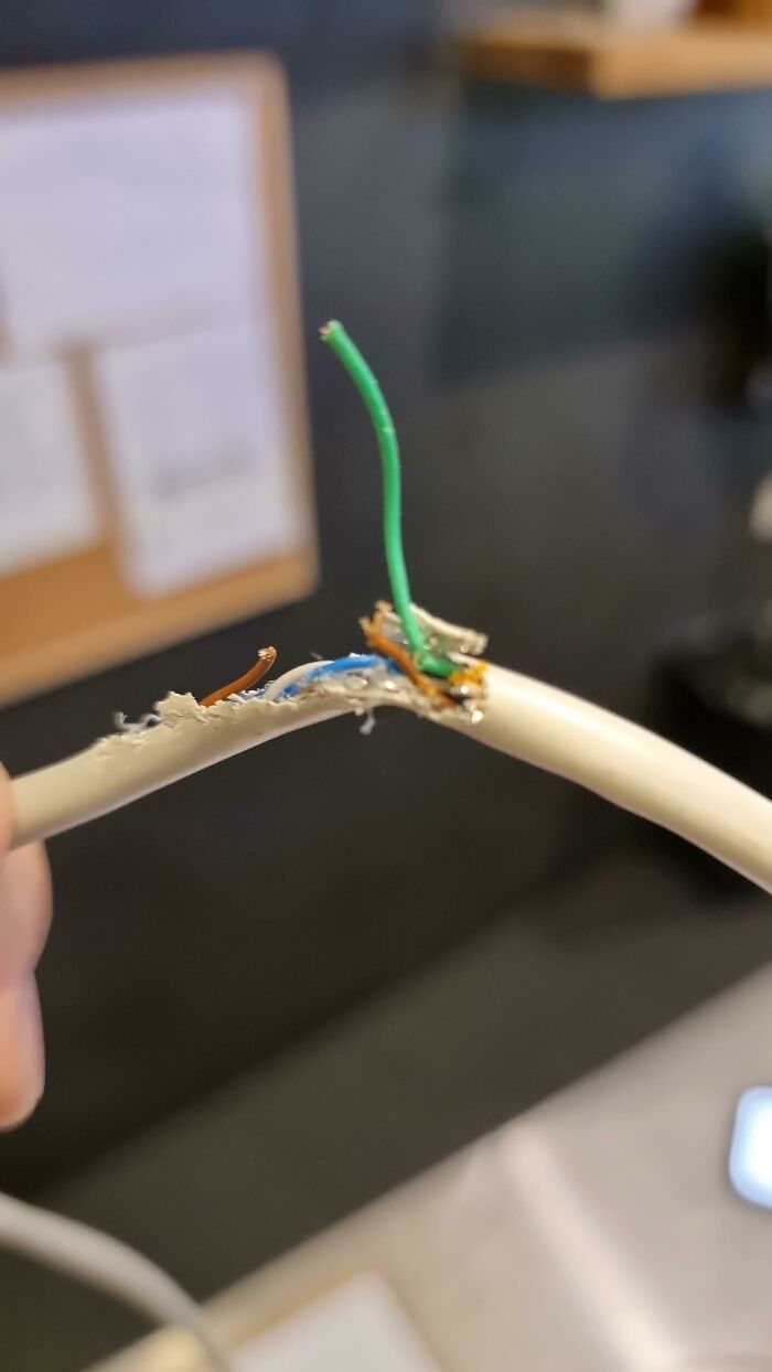 Lo malo de dar soporte técnico a tu local de comida es ver esto y saber que ya no deberías comer allí