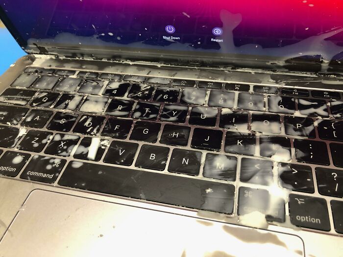 D-Did You See The Ghost? It Ran Through Here And Slimed Me!