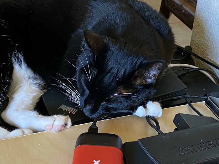 Mi portátil Thinkpad se sobrecalienta por alguna razón