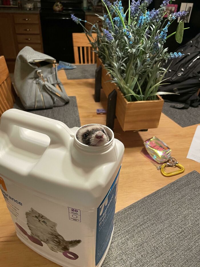 Dejé de observarlo durante 2 segundos