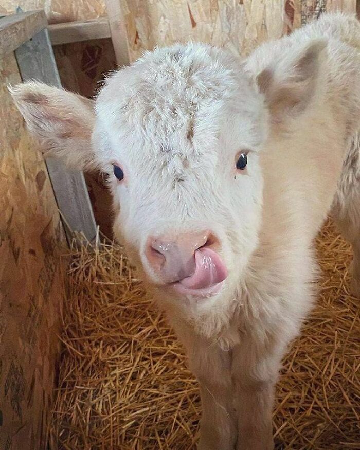 I Can’t Get Enough Of This Girl. She Is So Sweat And Absolutely Beautiful