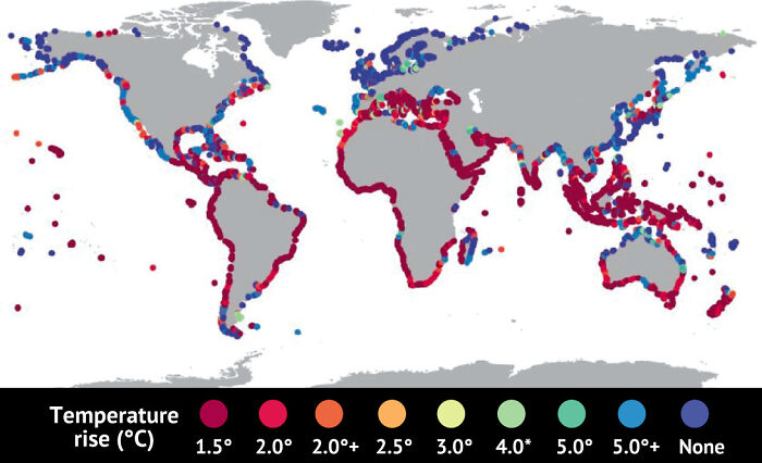 Look At The Colour Scheme