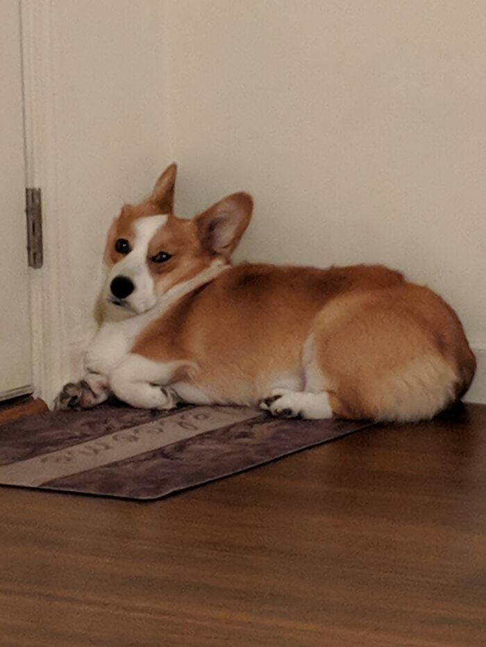 Looking Majestic, As Always