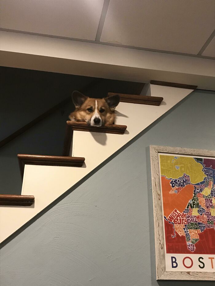 Winston Likes His Strategic Vantage Point