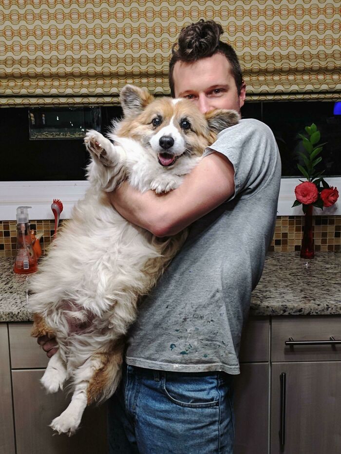 Chonky Floof, 15 Years Old And 37 Pounds