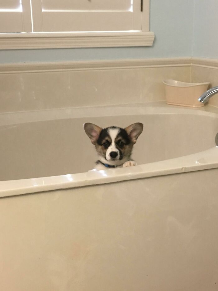 Broken Glass In Bathroom, Emergency Confinement Protocol.