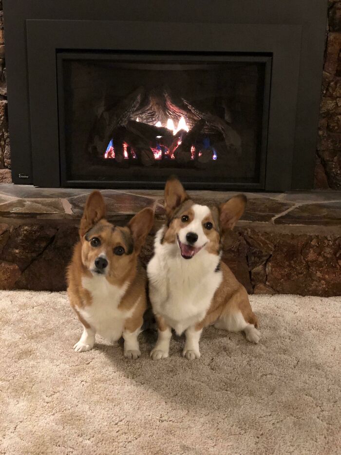 Christmas Card Photo This Year