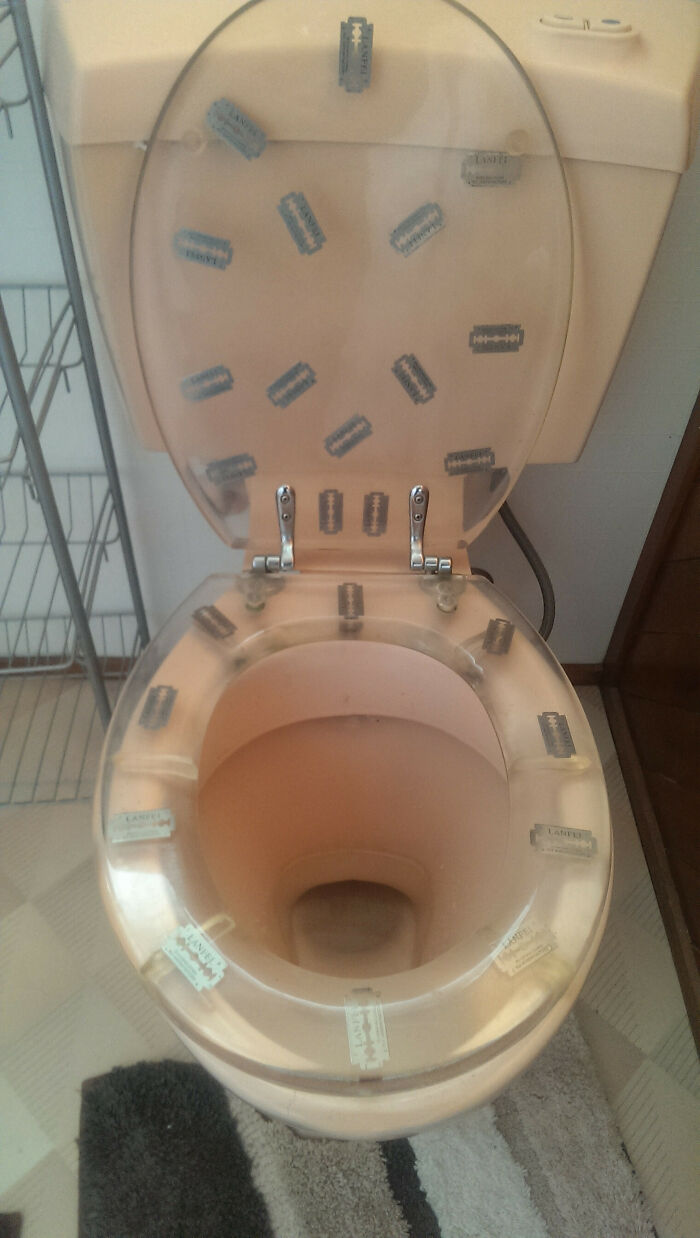 Un amigo se mudó a una nueva casa y este es su inodoro