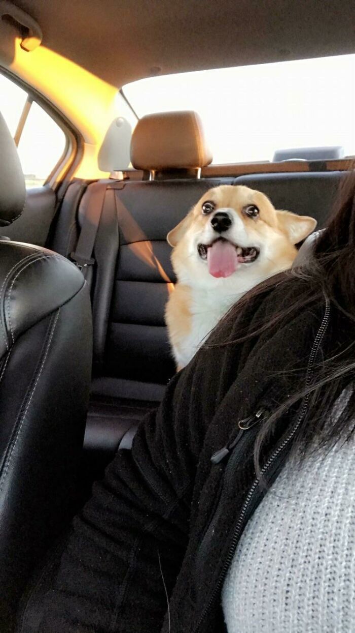 This Is My Son, Finn. You’re Welcome