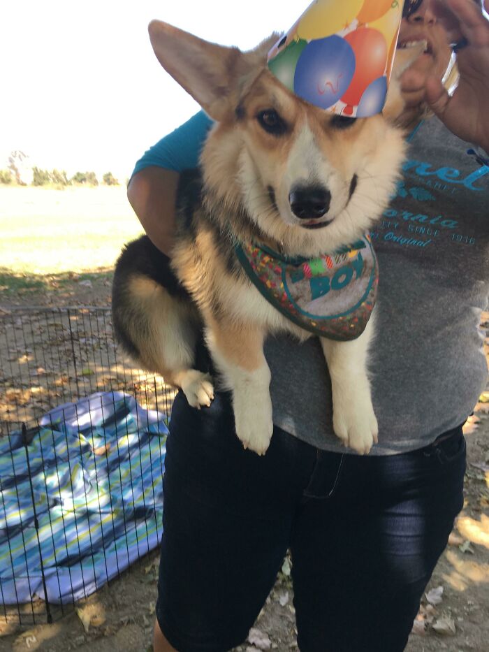 It Was My Puppers 1st Birthday!