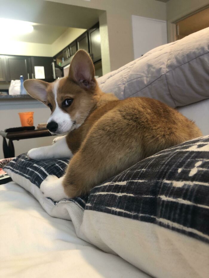 My Eyes Are Up Here, Thank You