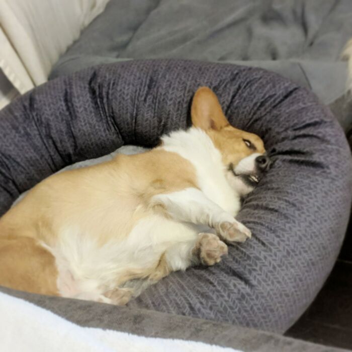 Mom: Don't Eat Too Much Turkey, Also Me