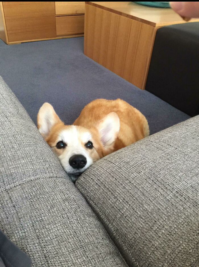 Please Sir, May I Have Some Food?