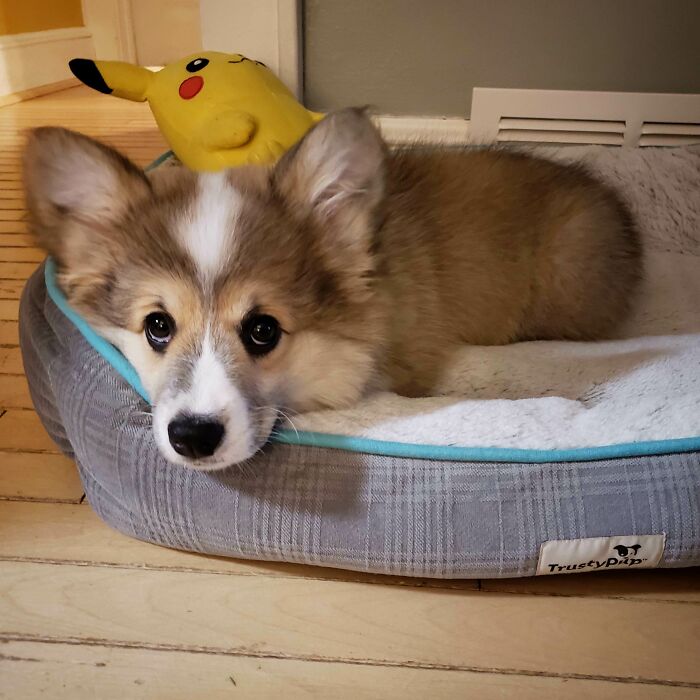 She's Going To Get Away With So Much Using That Look