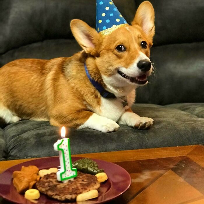 Happy Birthday To My Little Man!