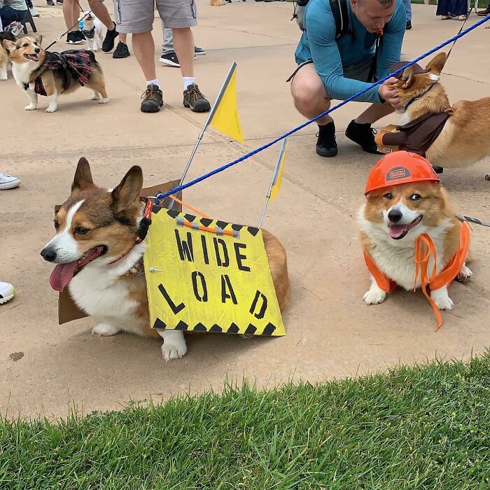 My Favorite Costumes At The Meetup Today
