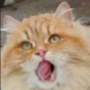 vanessakostopoulos avatar