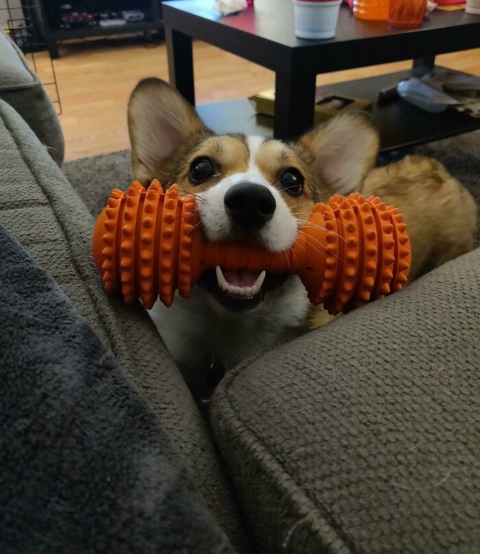 Please Play With Me Dad, I'm Not Ready To Stop Yet