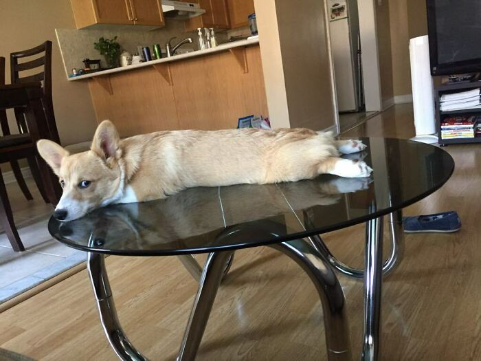 Her New Favourite Spot