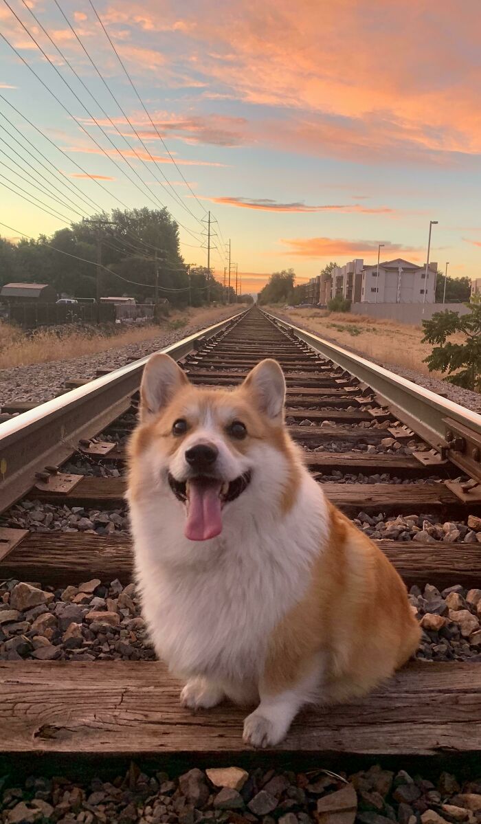 Don’t Worry We Looked Both Ways For Trains