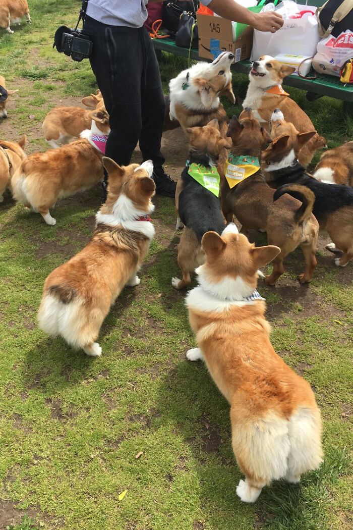 Pick Me! Pick Me Pick Me Pick Me Pick Me Pick Me Pick Me Pick Me Pick Me Pick Me!