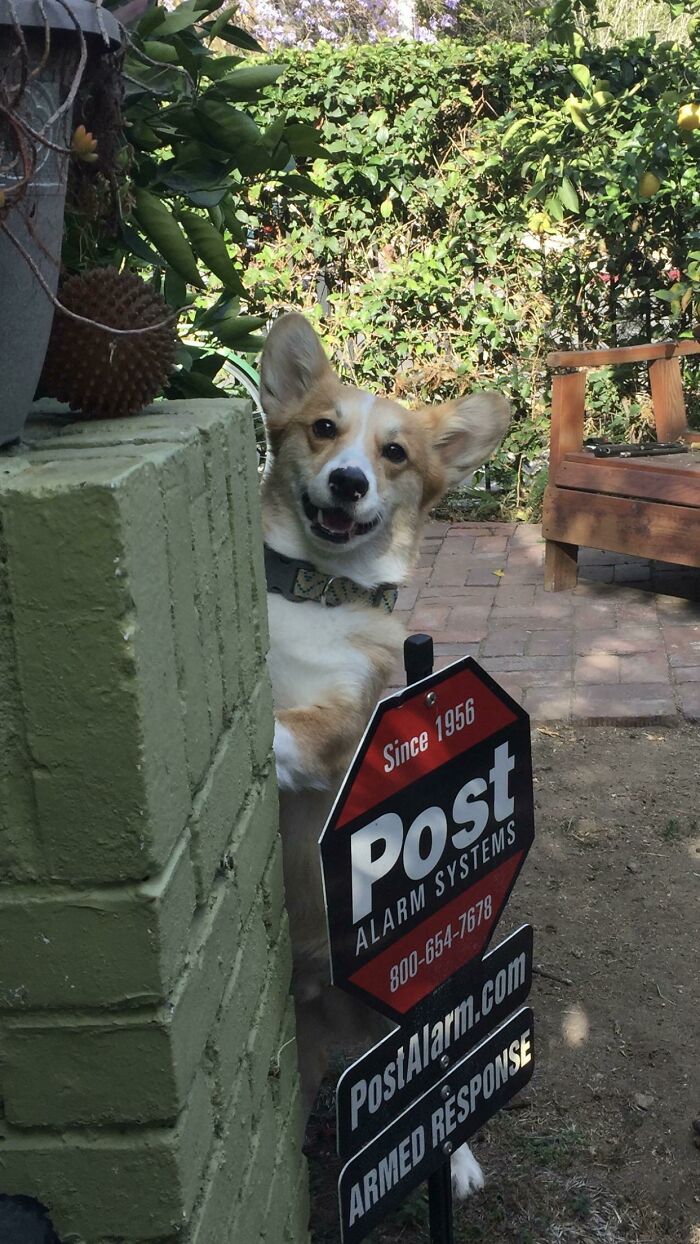 Possibly My Favourite Photo Of Him. It Never Fails To Make Me Smile - I Hope It Makes You Smile Too!