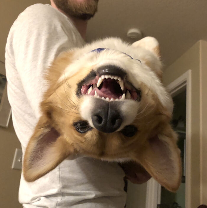 A Smile From Any Perspective