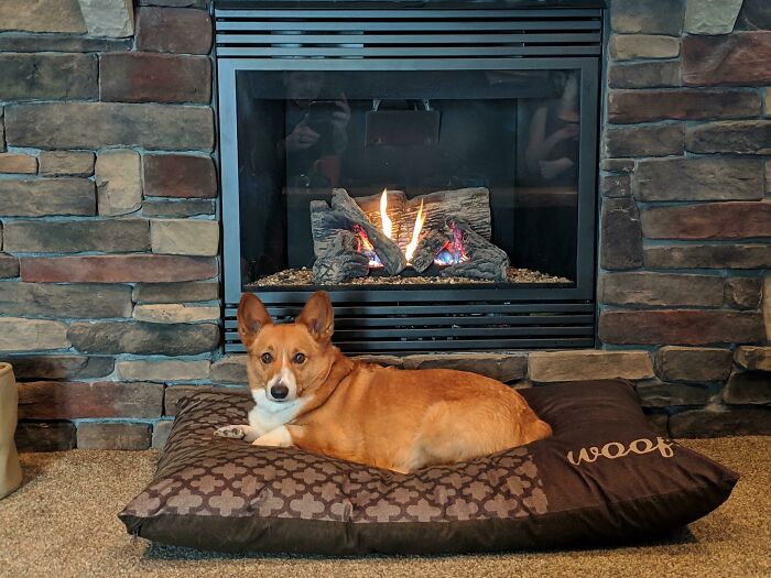 -30 Outside But Wookiee Don't Care