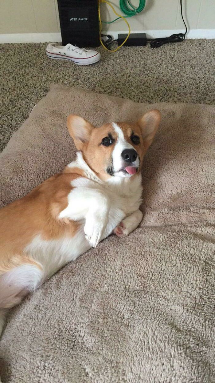 He Tries To Be Photogenic