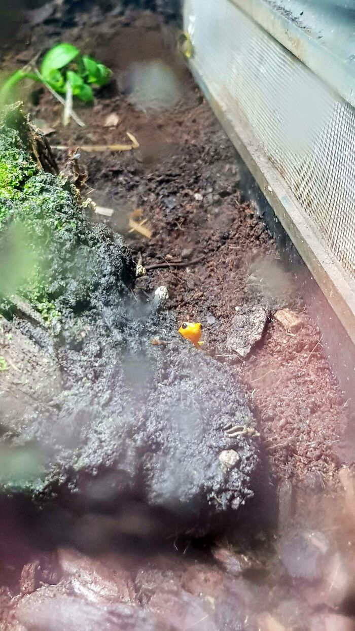 Saw This Shy Tiny Unit The Other Day