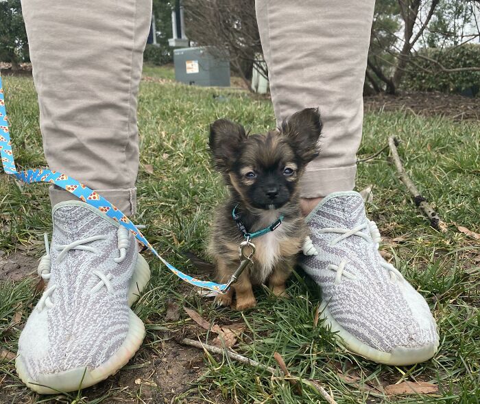 Riggins Is A Tiny Unit