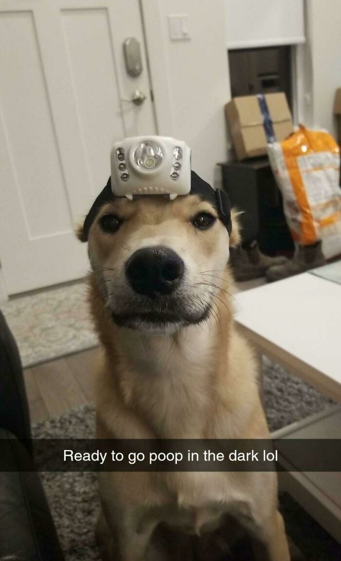 What My Husband Sends Me While I'm At Work