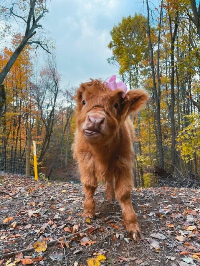 Remi Wanted To Show Off Her Bow Today