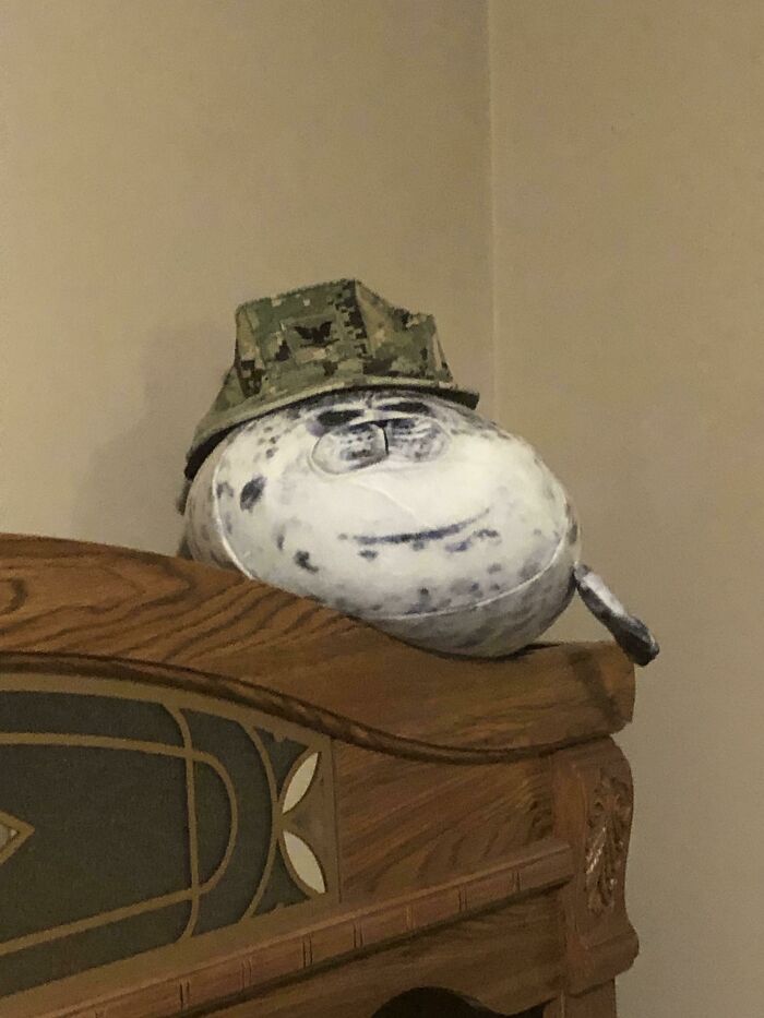 Husband Says It's A Navy Seal