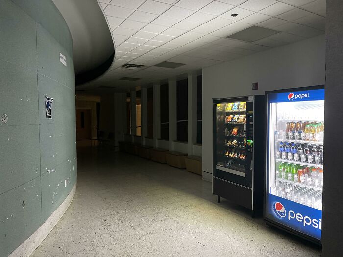 Just Took This Photo, Felt Like It Belonged Here