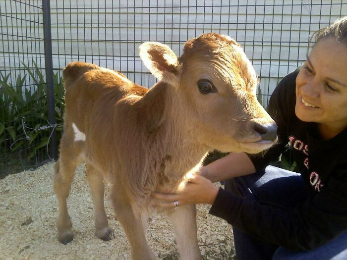 He's Two Days Old And His Name Is Norman