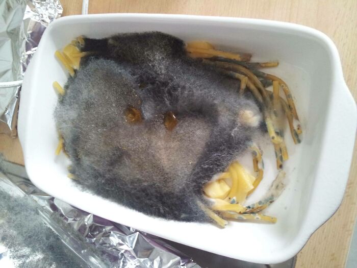 I Moved Into A Flatshare With Two Women. This Is What I Found In The Kitchen