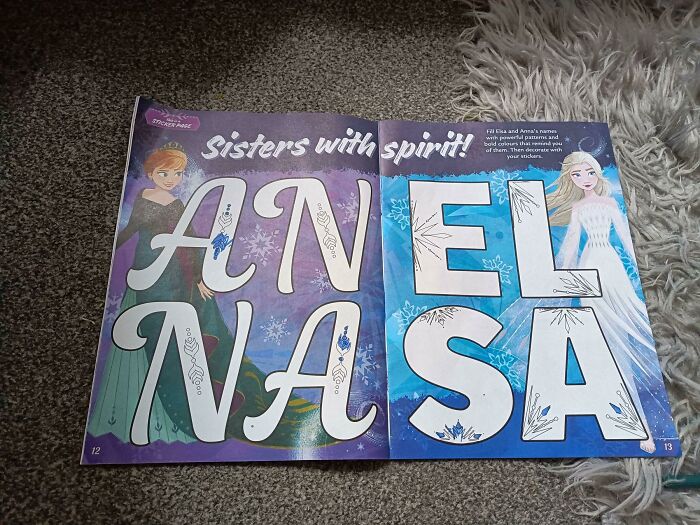 Anel Nasa