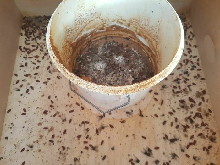 Friend Moved To A New Apartment. This Is What Is Inside One Of The Drawers. Wtf?