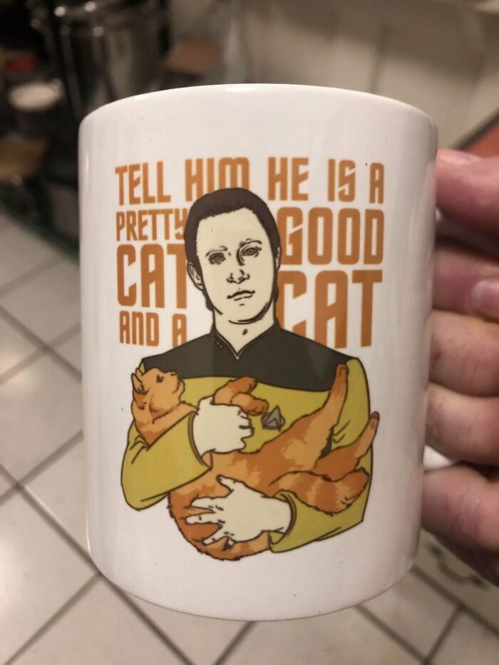 Tell Him He Is A Pretty Good Cat And A Cat