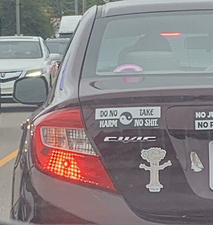 Do No Take, Harm No Shit