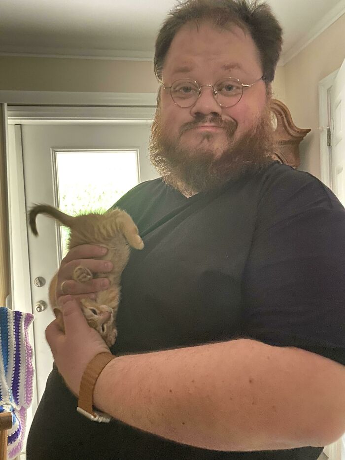 Este gatito solo deja de llorar si lo sostengo al revés