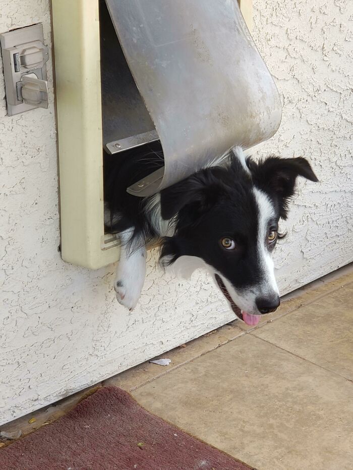 I Told Him To Stay Inside And I Turn Around And See Him Like This