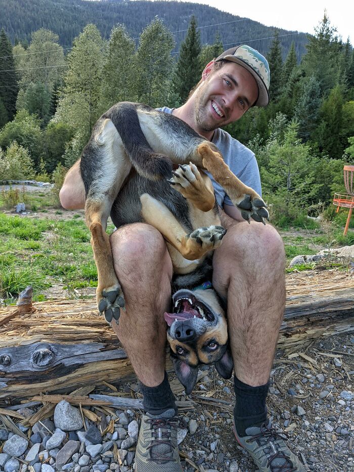 My Dog Got Too Excited About Disc Golf And Errored