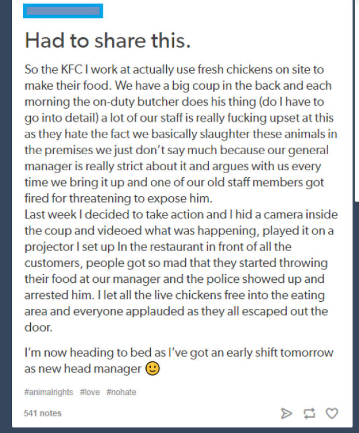 Sorry, What The Hell Did I Just Read?